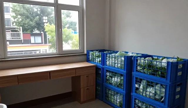 湿度控制技术服务选型中的关键考量要素